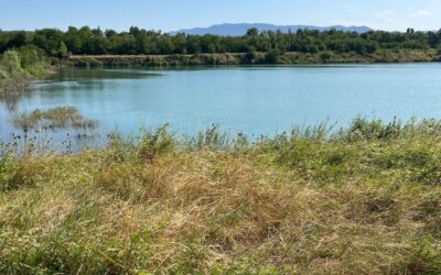 Sur les traces du muscardin : une matinée nature pour s’engager